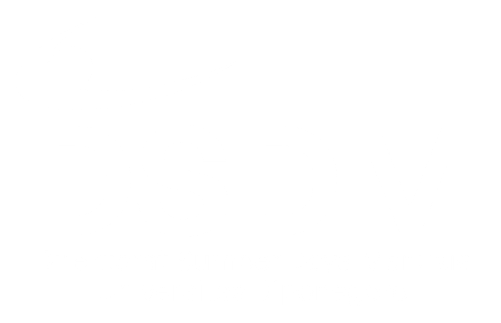 Logo DSDM